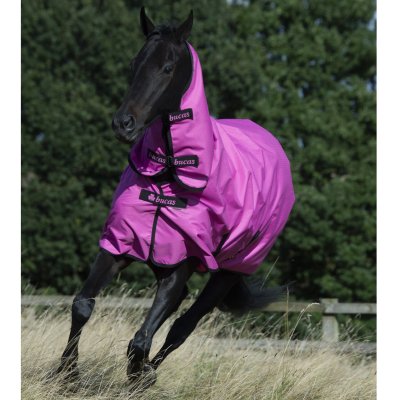 Bucas Freedom F/N Light sadeloimi, pinkki