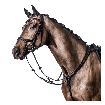 Horse Guard Soft rintaremmimartingaali (C), tummanruskea